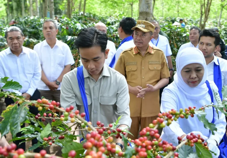 Kusuma Coffee Nusantara