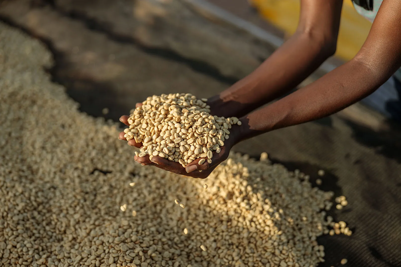 Secangkir kopi hangat